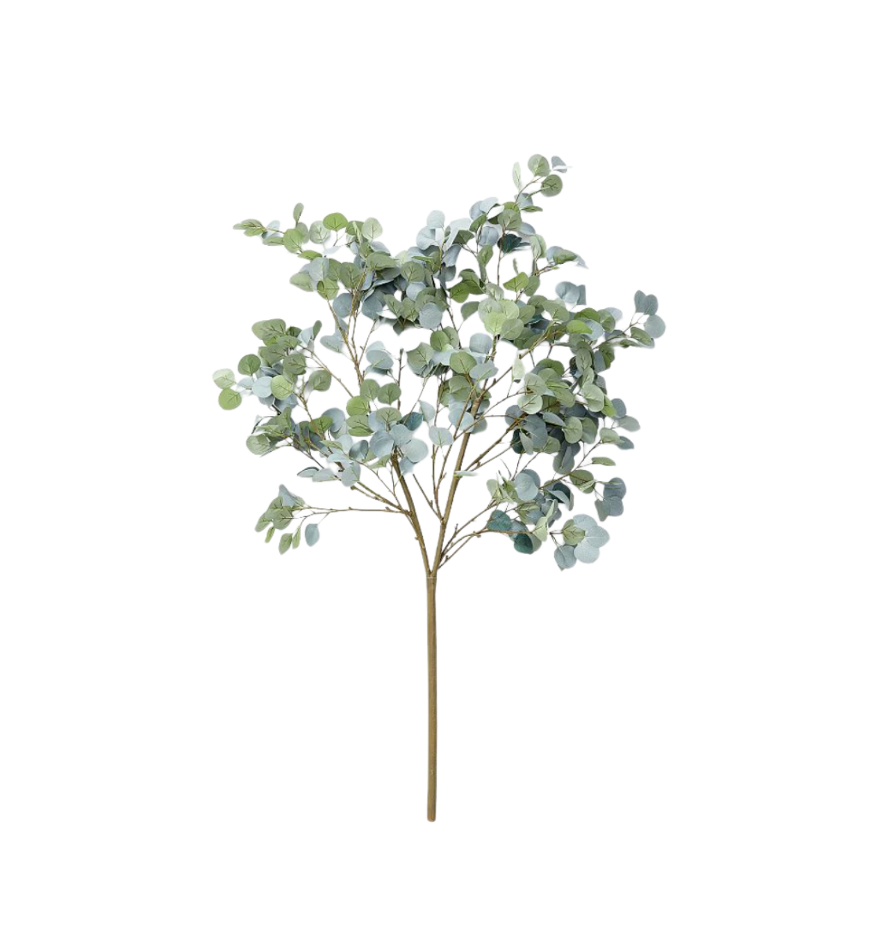Faux Oversized Silver Dollar Eucalyptus Branch