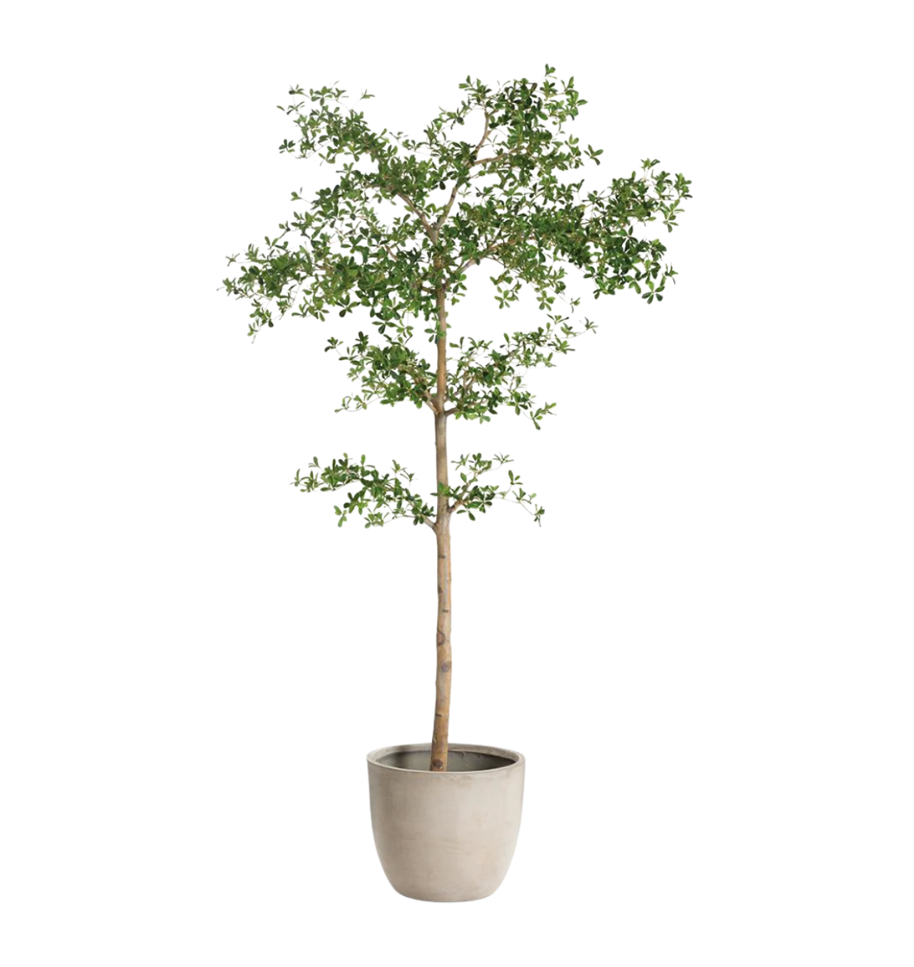 Pottery Barn Fenton Leather Barstool